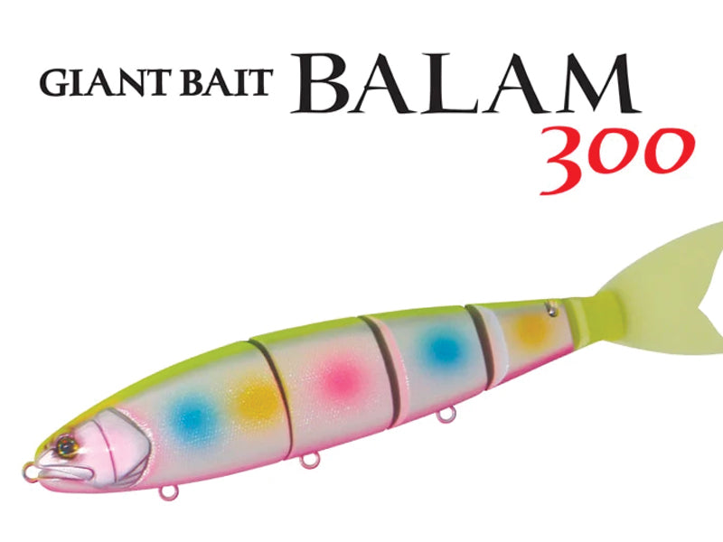Eclipse Balam 300 Image principale du produit