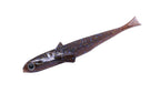 Engine Like Quad Shad | #01 Scappanng Goby