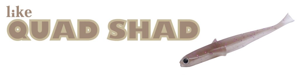 Engine Like Quad Shad Immagine principale del prodotto