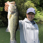 Engine Like Quad Shad