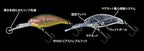 Evoke Shad