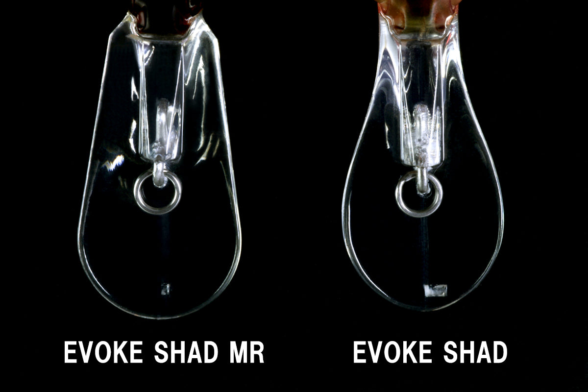 Evoke Shad