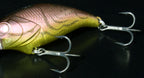 Evoke Shad