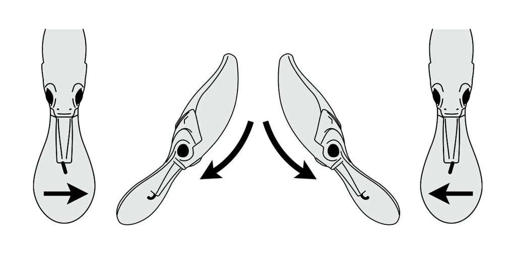Evoke Shad