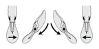 Evoke Shad