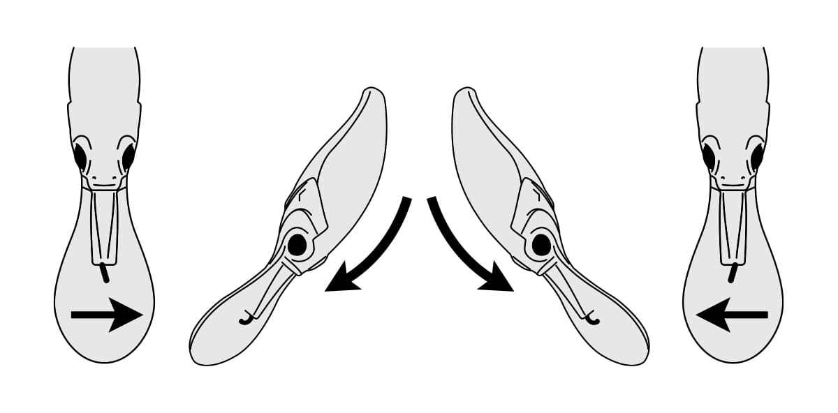 Evoke Shad