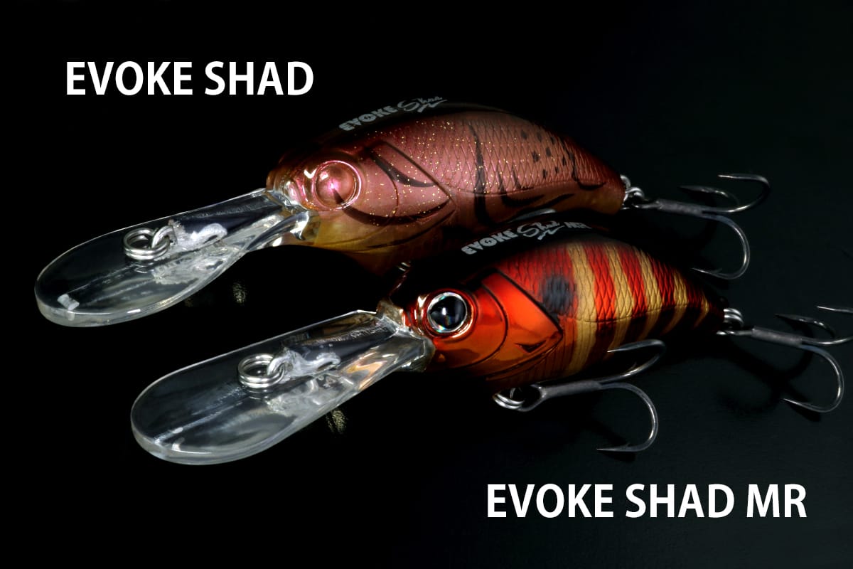 Evoke Shad
