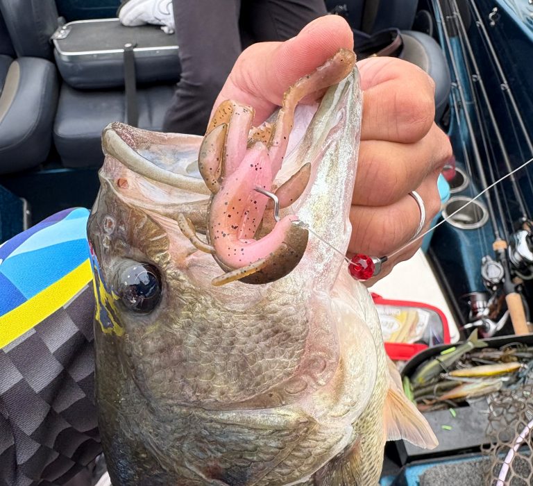 Fall Craw Neo 3.5"
