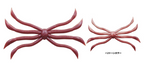 Fish Magnet Octopus | #04 Premium Nama Mimizu