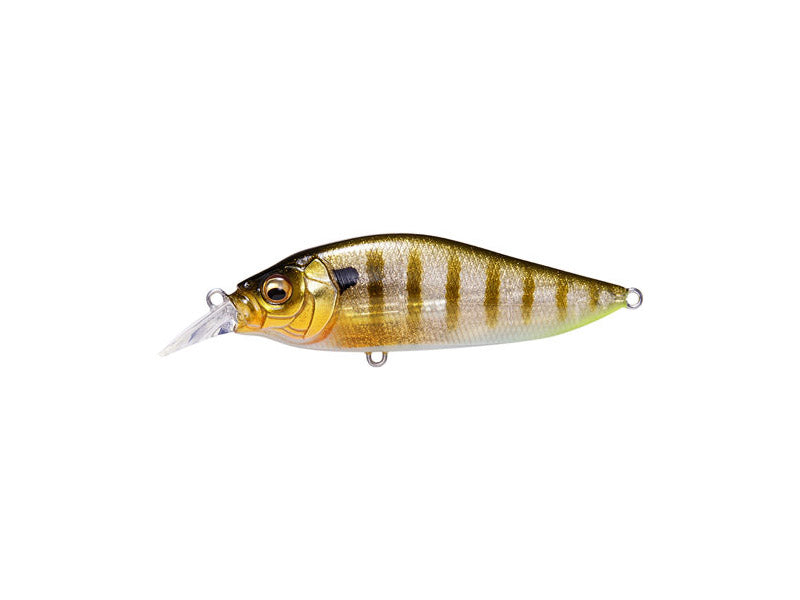 Flap Slap Lbo | Glx Galaxy Gill