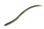 Flick Shake | 5.8” Maruhata Melon Shad