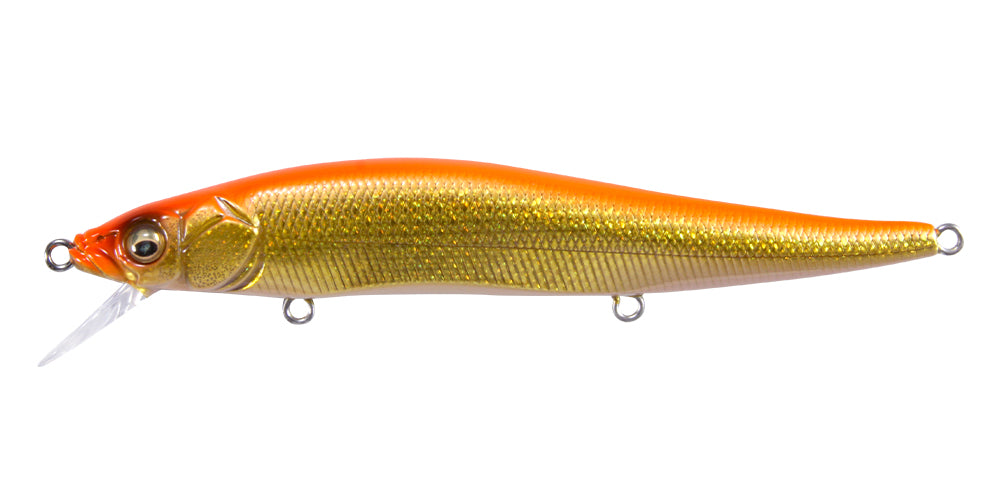 Gh110 | Dd Hakone Orange Ii