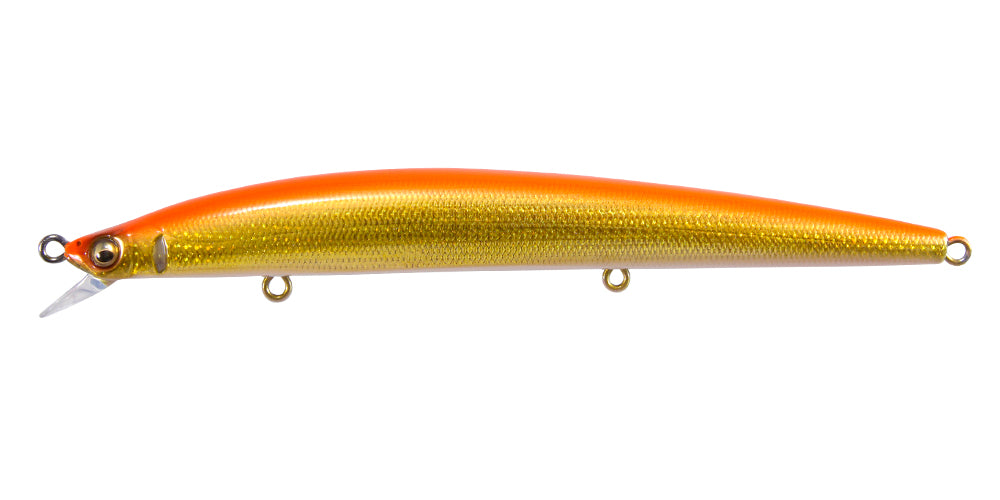 Gh120 | Dd Hakone Orange Ii