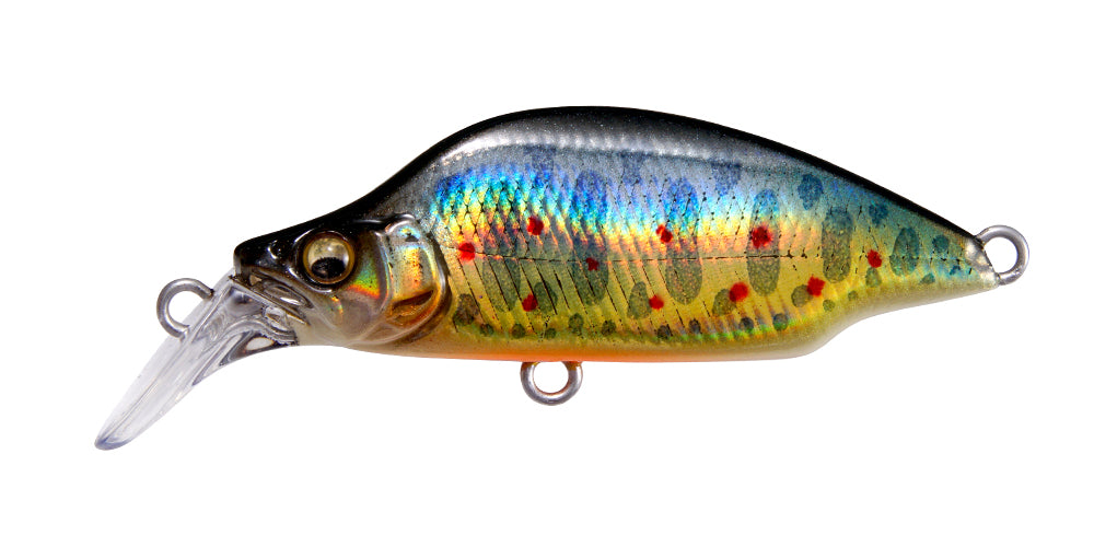 Gh44 Bat A Fry | Lz Takumi Iwana