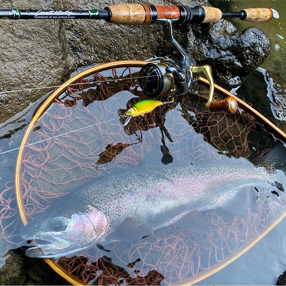 Gh51 Humpback(fs)