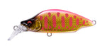 Gh52 Bat A Fry | Dd Pink Back Gold
