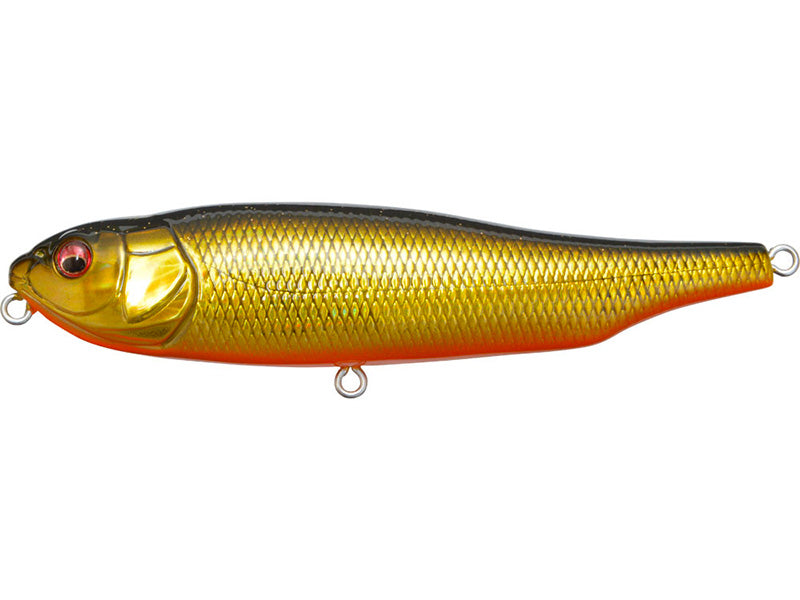 Giant Dog-x | Gg Megabass Kinkuro