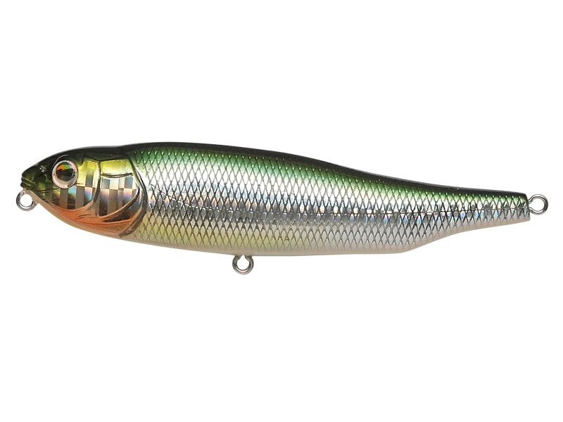 Giant Dog-x | Sw-gg Megabass Kibinago