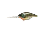 Gillcra 60 | Rt Bluegill