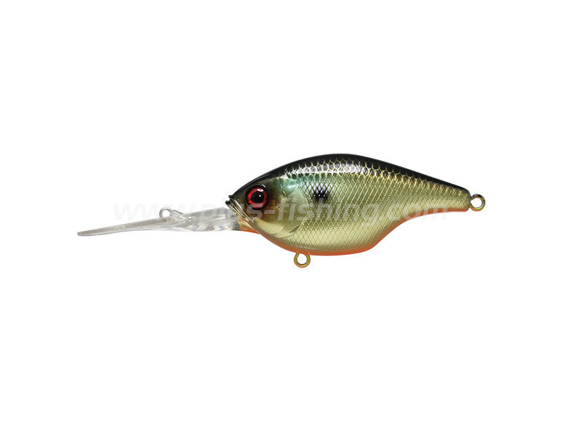 Gillcra 60 | Sk Gold Shiner