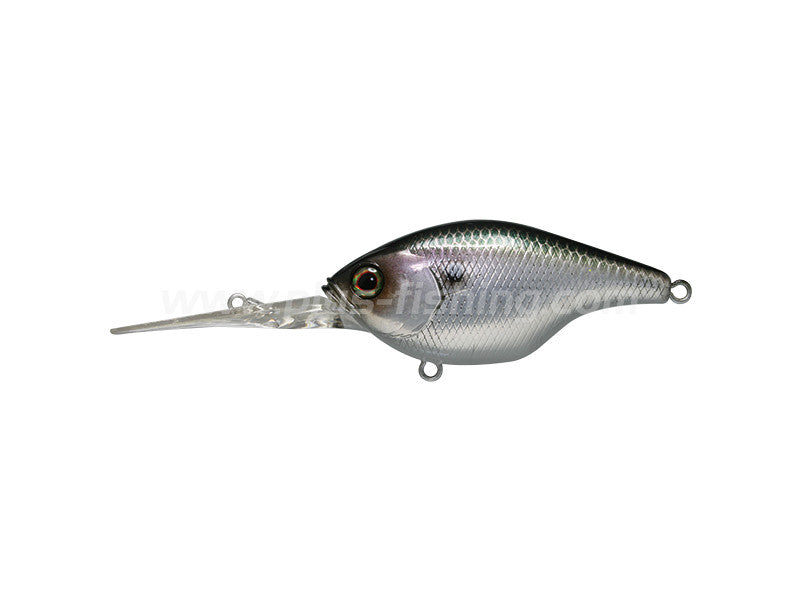 Gillcra 60 | Sk Silver Shiner
