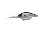 Gillcra 60 | Sk Silver Shiner