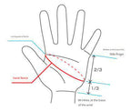 Gm Glove Frame