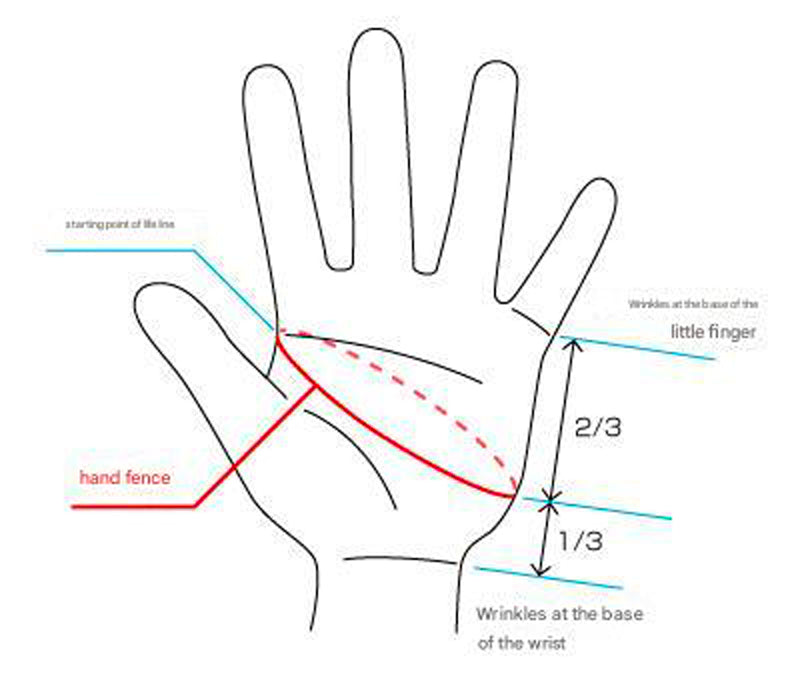 Gm Glove Frame