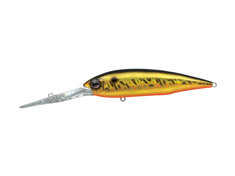 Gold Digger 600 | #211 Golden Shiner