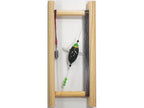 Harubo Tana Razor | Black Top Green