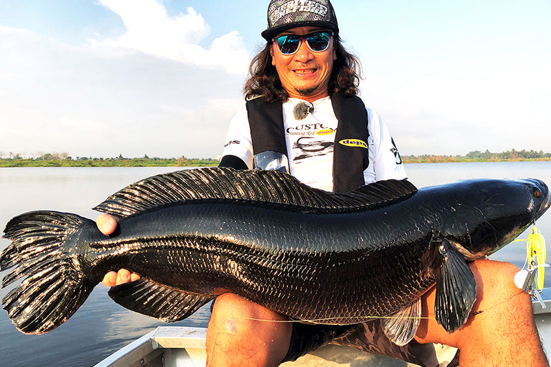Huge Buzzbait Type Ii