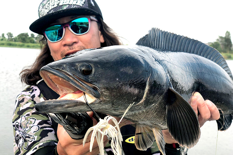 Huge Buzzbait Type Ii