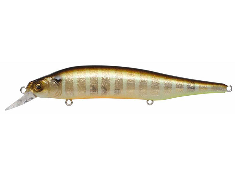 Ito Shiner | Glx Galaxy Shiner