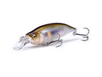Ixi Shad Type-r