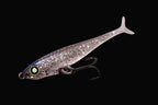 Jelly Sardine 54