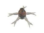Jimmy Henge | 50 Cinnamon Dappi Shrimp