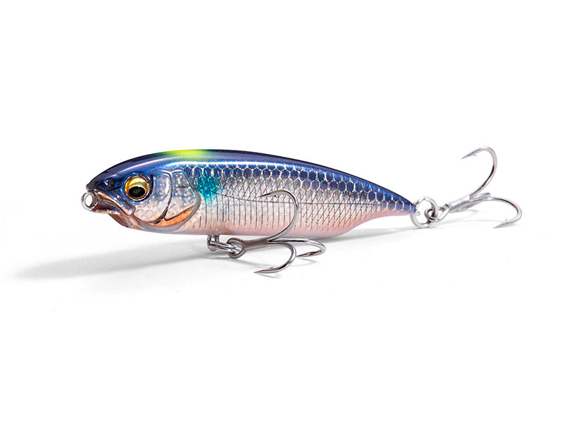 Karashi Sw Image principale du produit