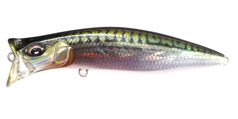 Kirinji | 90 Fa Green Mackerel