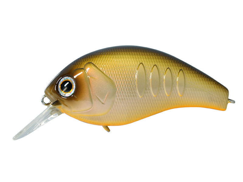 Korrigan-magnum | 350 #06 Horizon Shad
