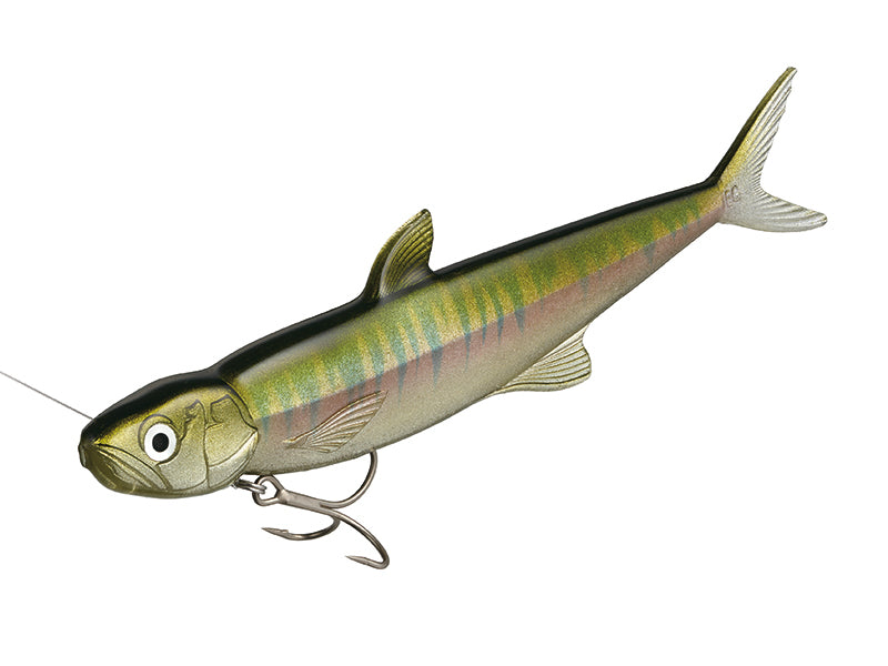 Last Ace 168 Main image