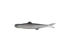Last Ace | 45 #102 Natural Shad