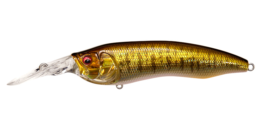 Live-x Model1 | Gg Small Mouth Bass