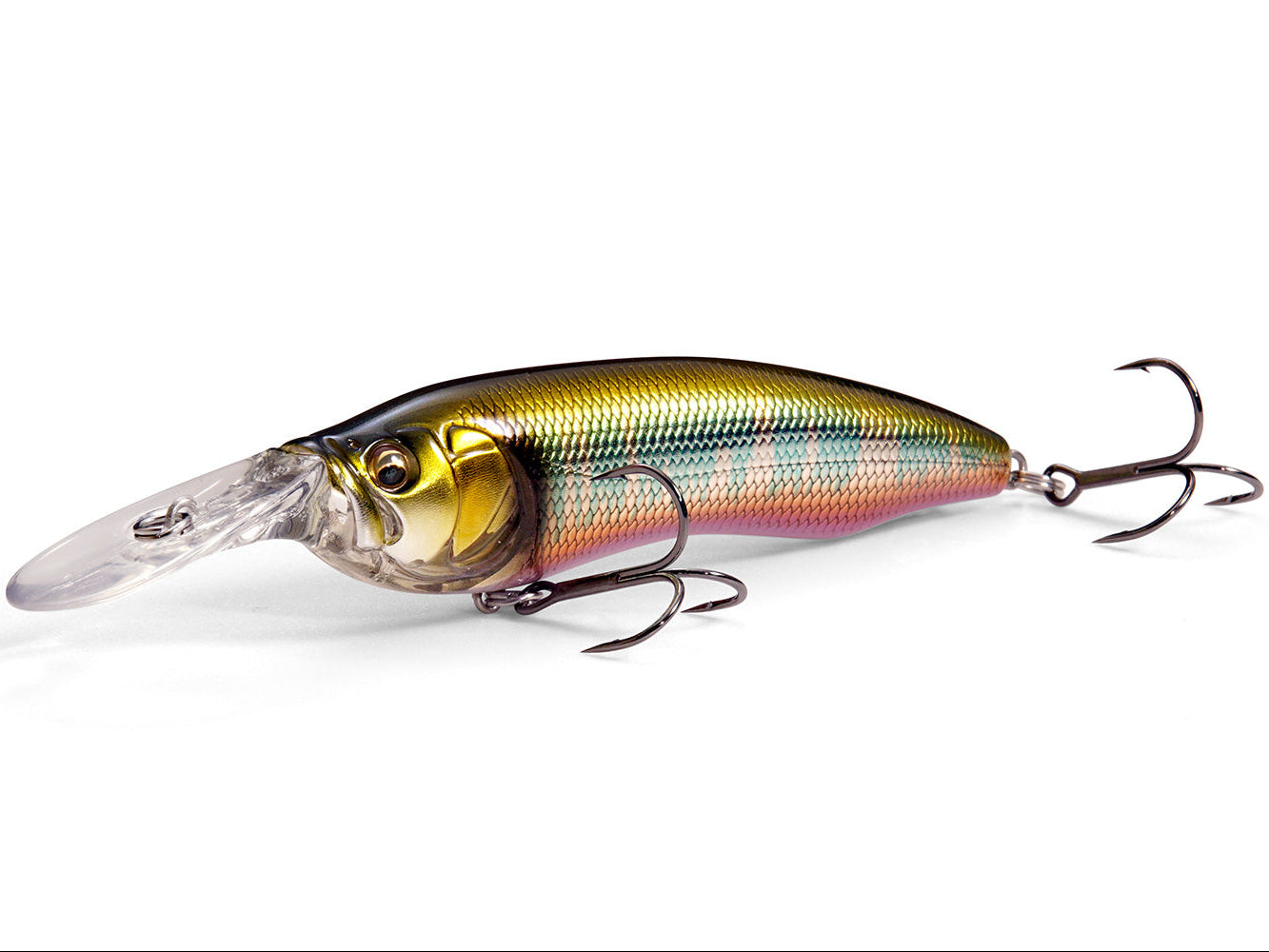 Live-x Model1 Immagine principale del prodotto