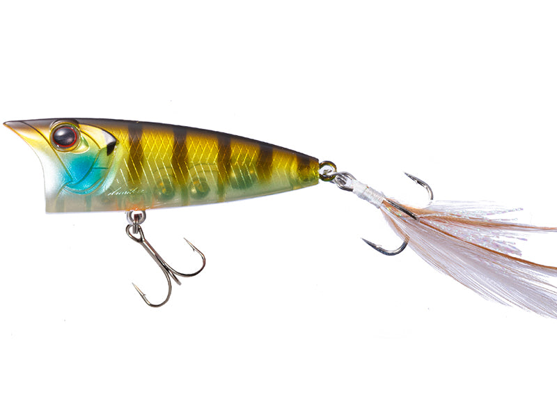 Louder | 50 P95 Blue Gill