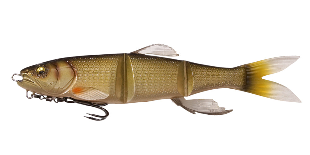 Magdraft Hasu Raver | Allround Shiner