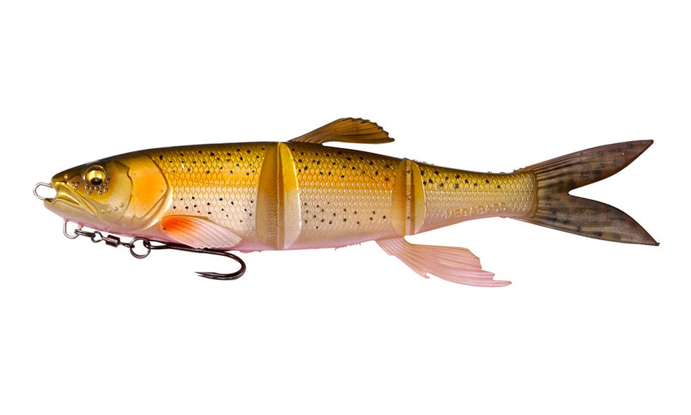 Magdraft Hasu Raver | Rainbow Trout