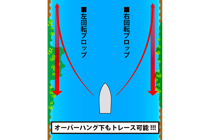 Matsubuzz