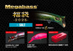 Megabass Lucky Bag 2025 | Salt Set