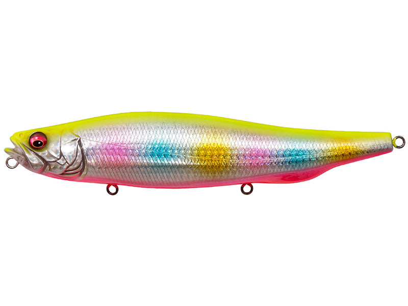 Megadog 180 | Gg Chart Back Rainbow Pb