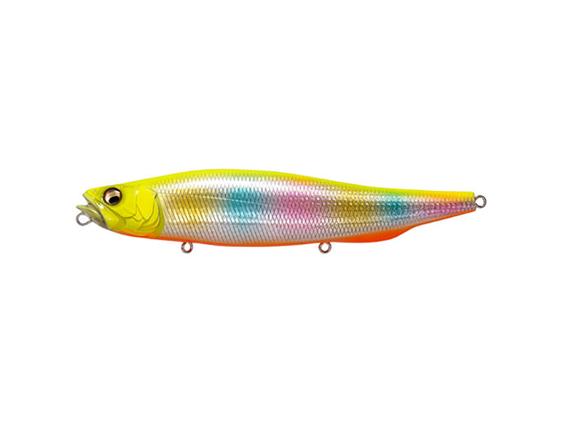 Megadog | Sunset Rainbow